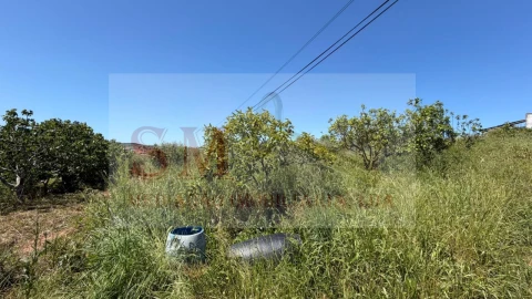 Terreno para Venda em Olhalvo