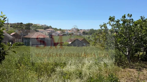 Terreno para Venda em Olhalvo