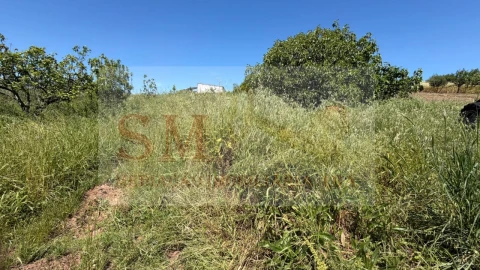Terreno para Venda em Olhalvo