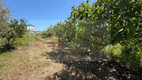 Terreno para Venda em Olhalvo