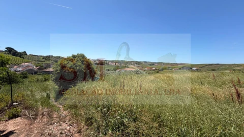 Terreno para Venda em Olhalvo