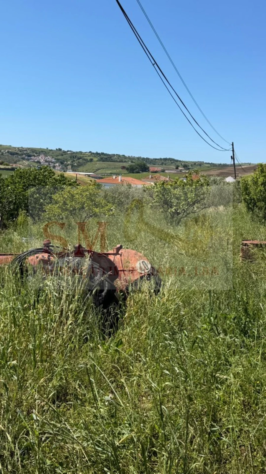 Terreno para Venda em Olhalvo Foto 3