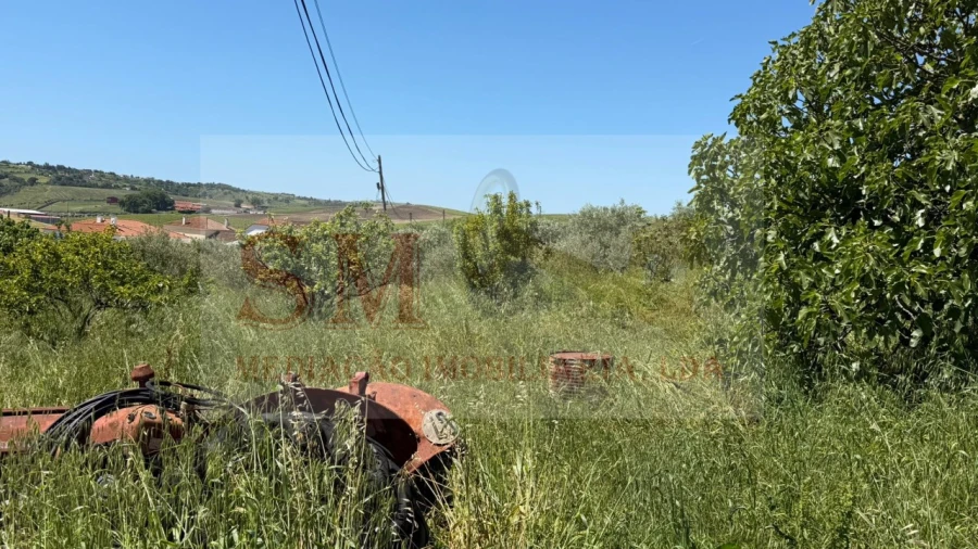 Terreno para Venda em Olhalvo Foto 4