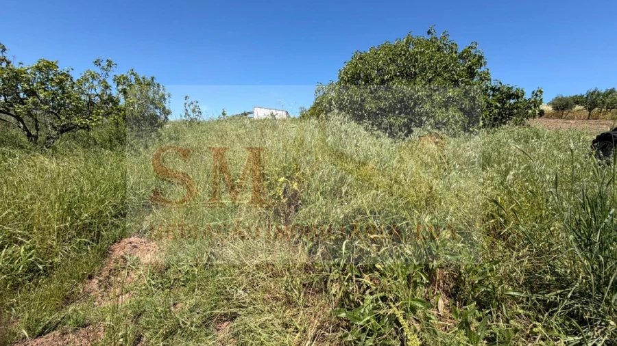 Terreno para Venda em Olhalvo Foto 7