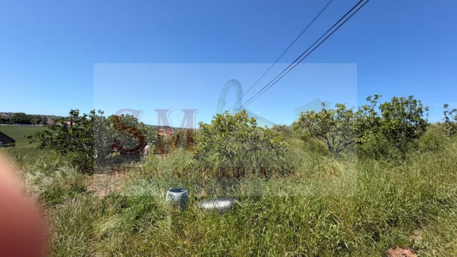 Terreno para Venda em Olhalvo Foto 8