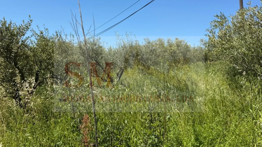 Terreno para Venda em Olhalvo Foto 15