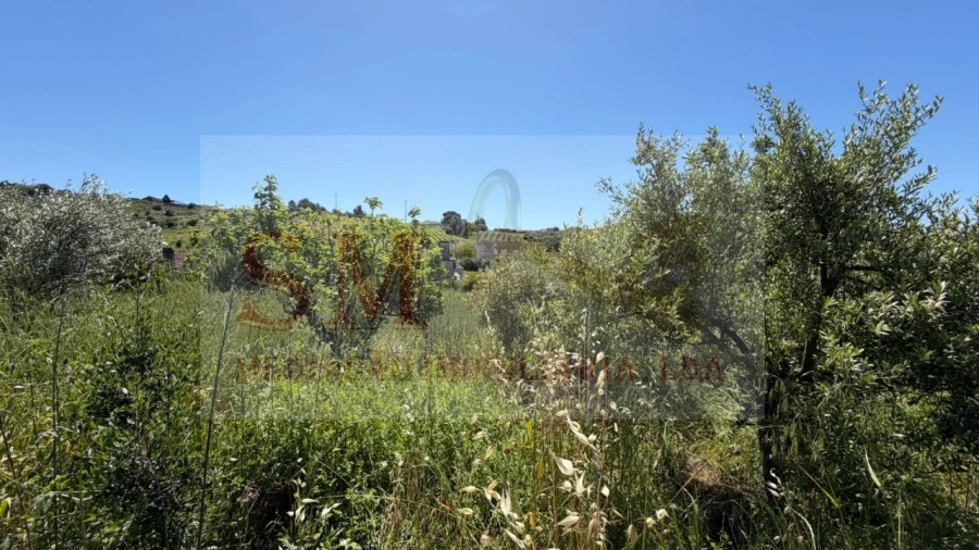 Terreno para Venda em Olhalvo Foto 16