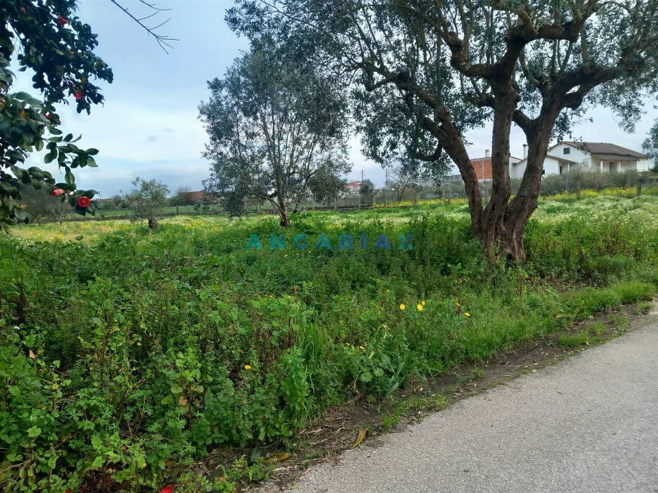 Terreno para Venda em Vermoil Foto 2