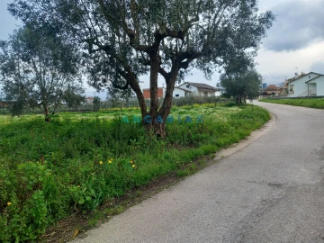 Terreno para Venda em Vermoil