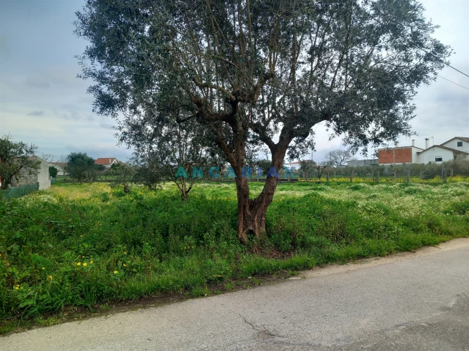 Terreno para Venda em Vermoil Foto 5