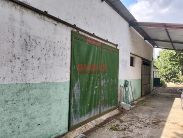 Armazém para Venda em Campo