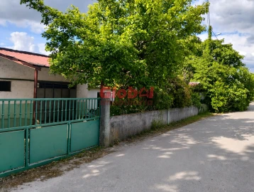 Armazém para Venda em Campo
