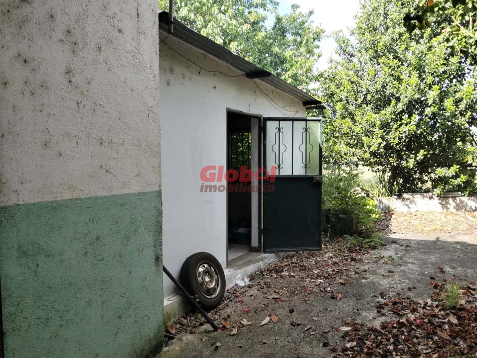 Armazém para Venda em Campo Foto 3