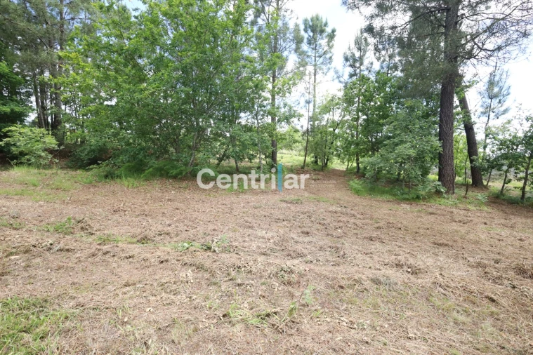 Terreno Agricola ou Rústico para Venda em Lordosa Foto 4