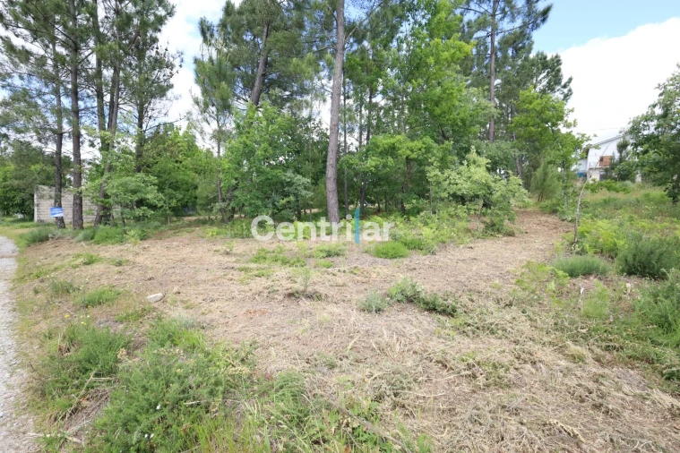 Terreno Agricola ou Rústico para Venda em Lordosa Foto 2