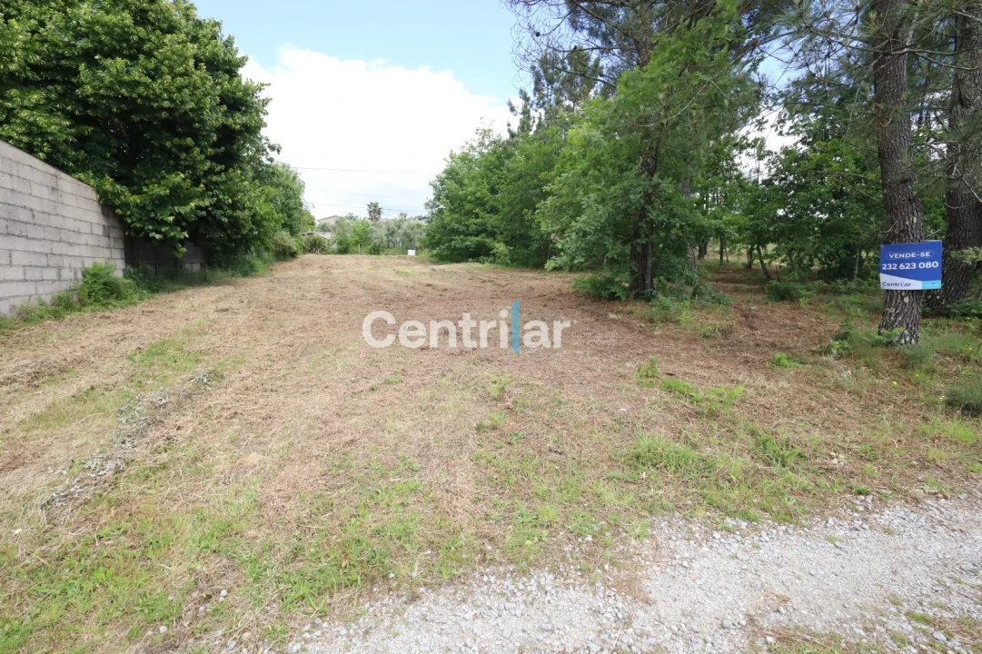 Terreno Agricola ou Rústico para Venda em Lordosa Foto 1