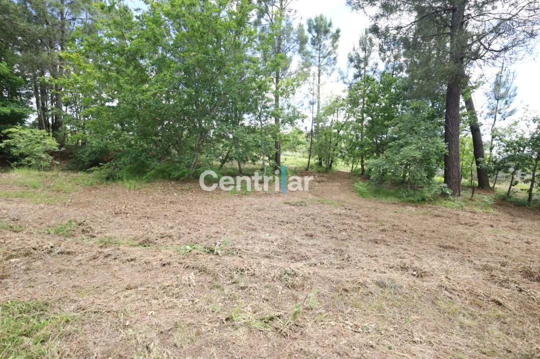 Terreno Agricola ou Rústico para Venda em Lordosa Foto 4