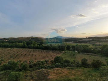 Terreno para Venda em Cabanelas