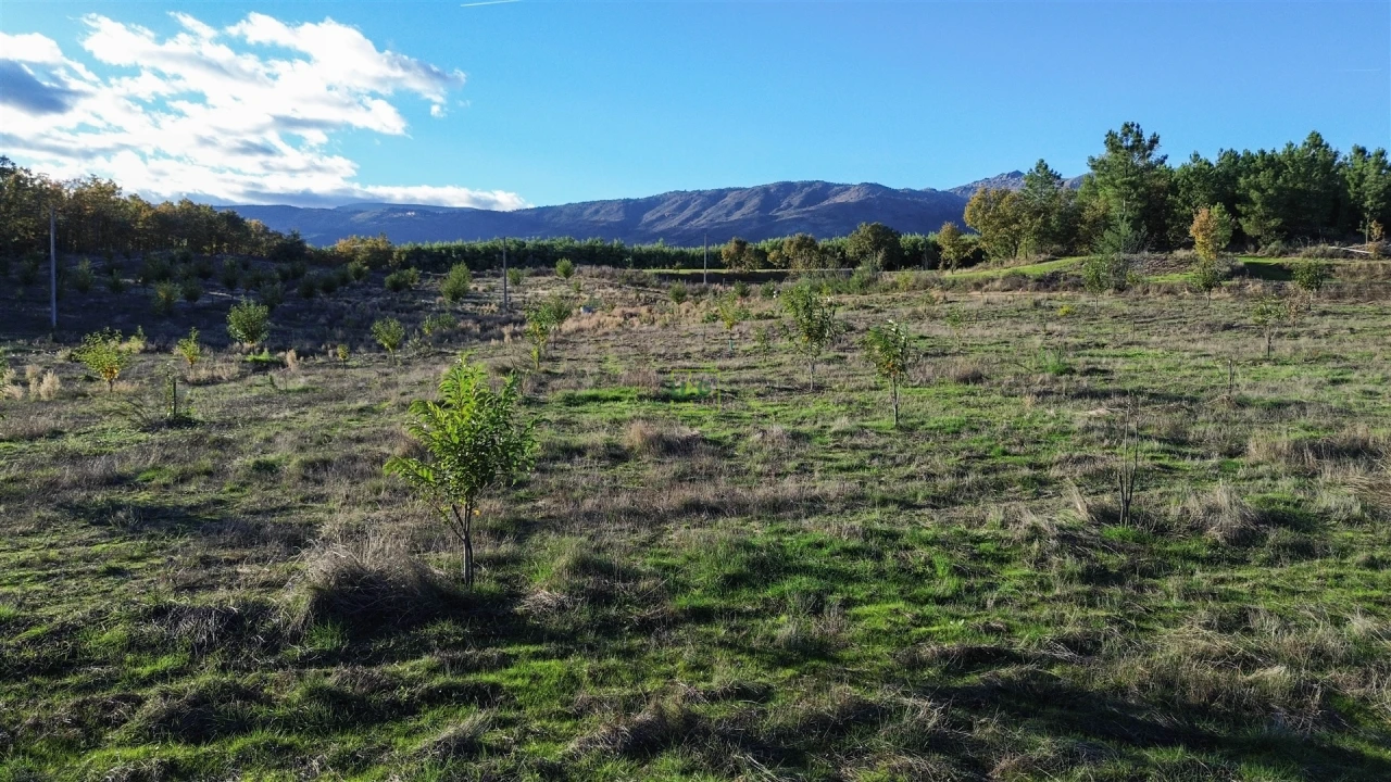 Quinta T0 para Venda em Teixoso e Sarzedo Foto 26