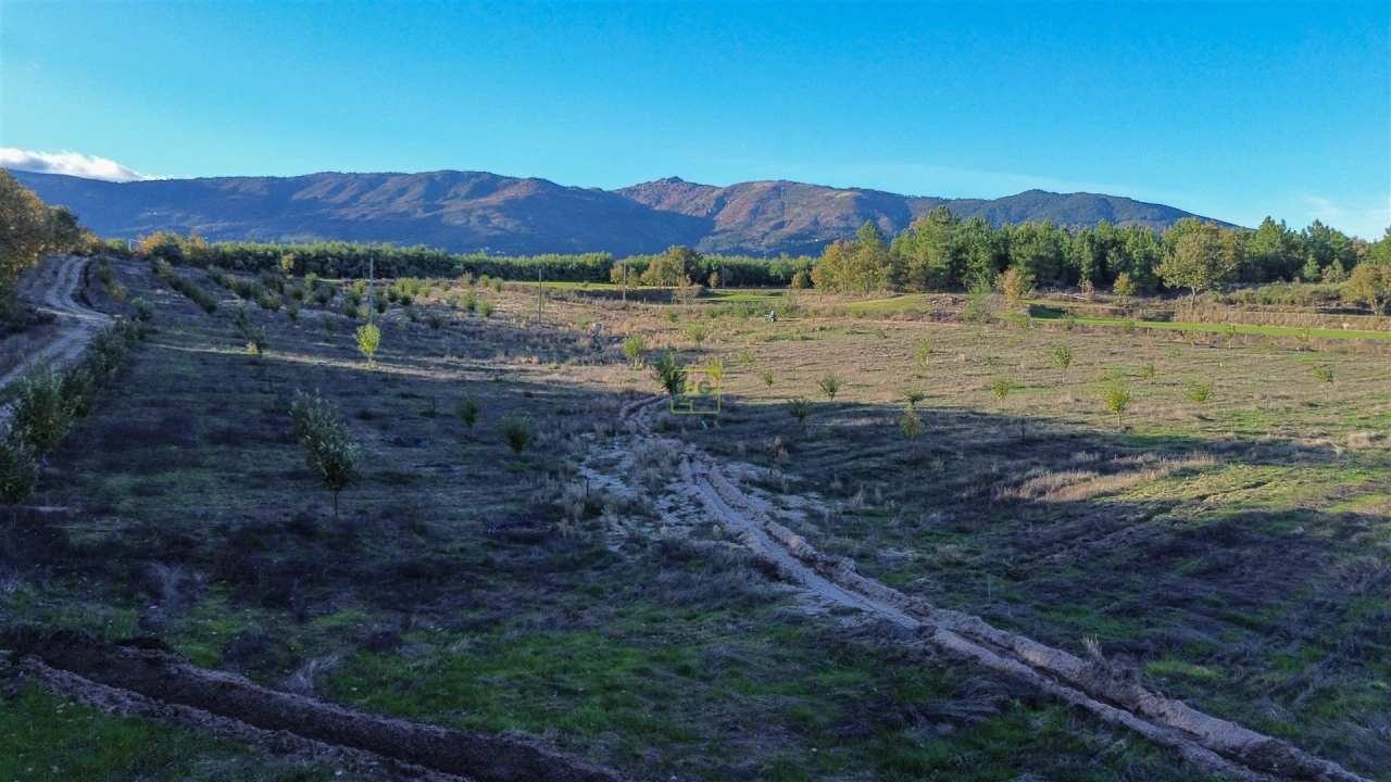 Quinta T0 para Venda em Teixoso e Sarzedo Foto 28