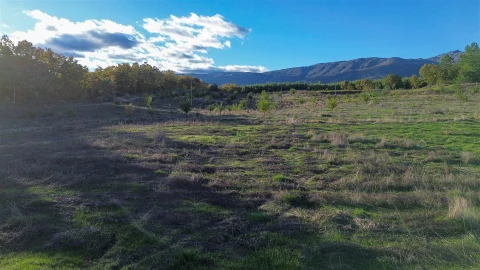 Quinta T0 para Venda em Teixoso e Sarzedo