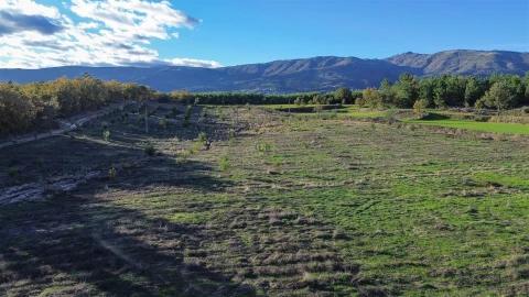 Quinta T0 para Venda em Teixoso e Sarzedo