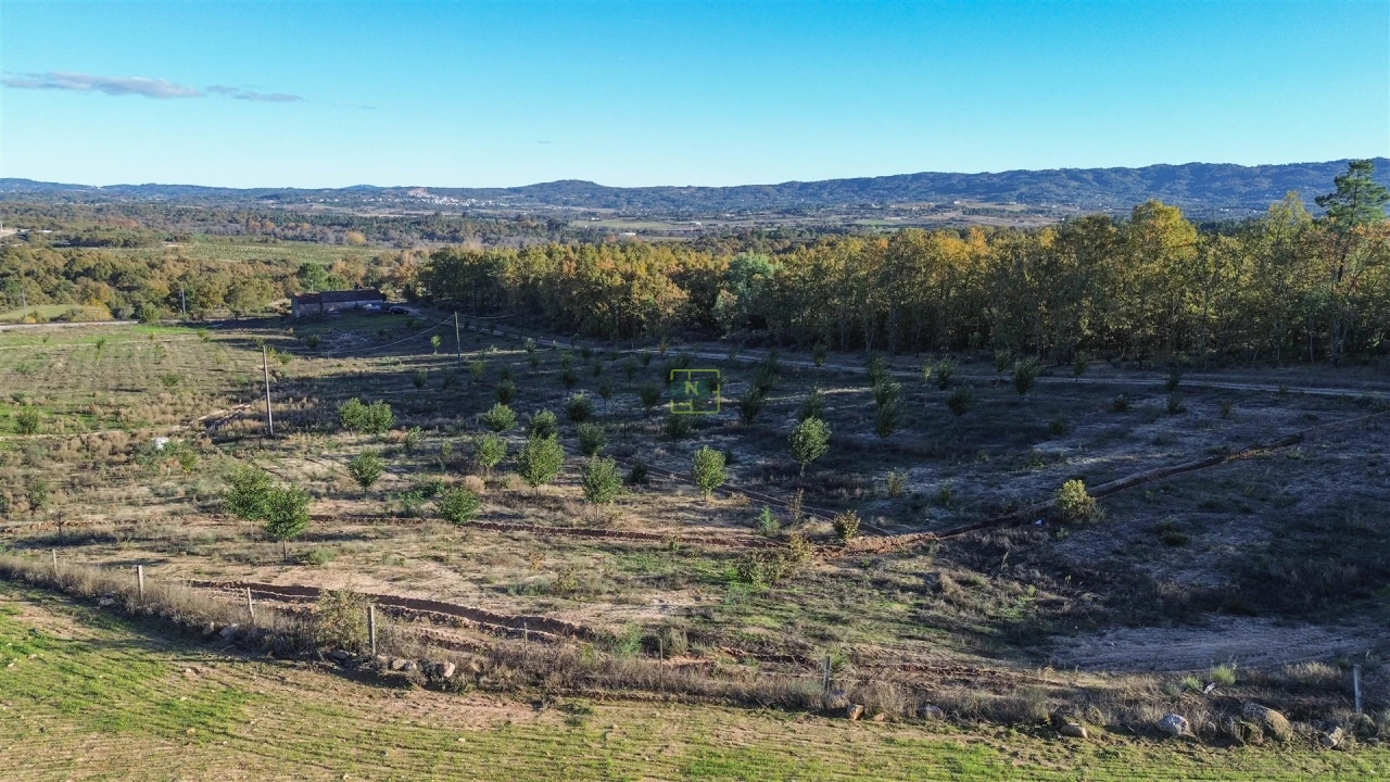 Quinta T0 para Venda em Teixoso e Sarzedo Foto 17