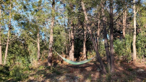 Quinta T1 para Venda em Póvoa de Rio de Moinhos e Cafede