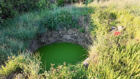 Quinta T1 para Venda em Póvoa de Rio de Moinhos e Cafede
