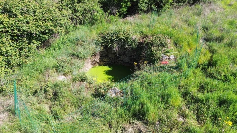 Quinta T1 para Venda em Póvoa de Rio de Moinhos e Cafede