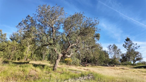 Quinta T1 para Venda em Póvoa de Rio de Moinhos e Cafede