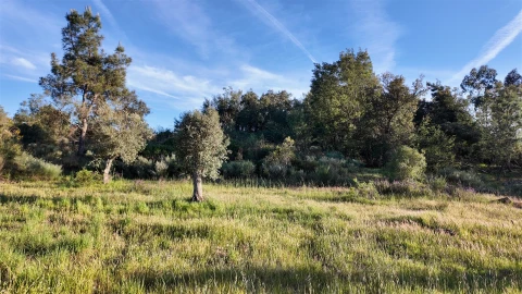 Quinta T1 para Venda em Póvoa de Rio de Moinhos e Cafede