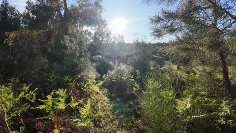 Quinta T1 para Venda em Póvoa de Rio de Moinhos e Cafede