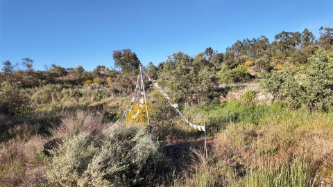 Quinta T1 para Venda em Póvoa de Rio de Moinhos e Cafede