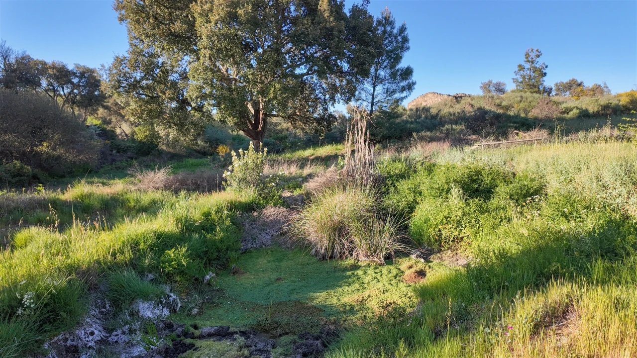 Quinta T1 para Venda em Póvoa de Rio de Moinhos e Cafede Foto 46