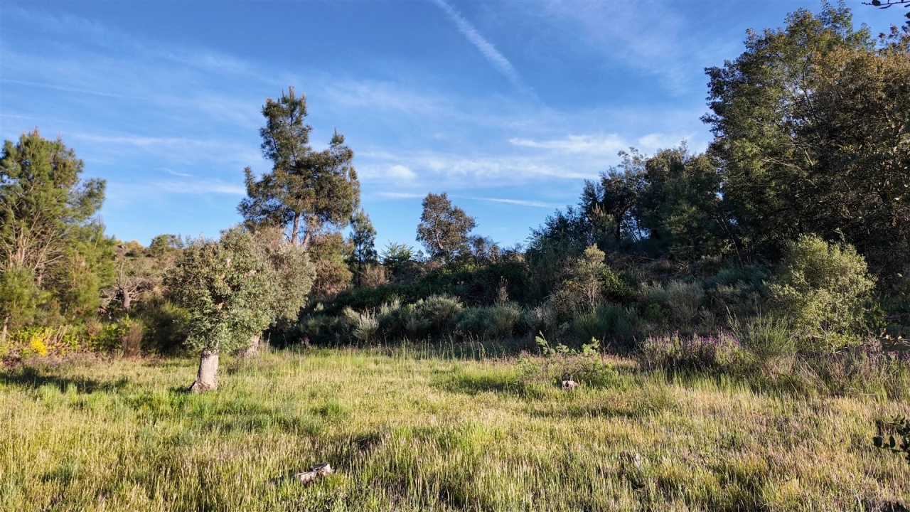 Quinta T1 para Venda em Póvoa de Rio de Moinhos e Cafede Foto 63