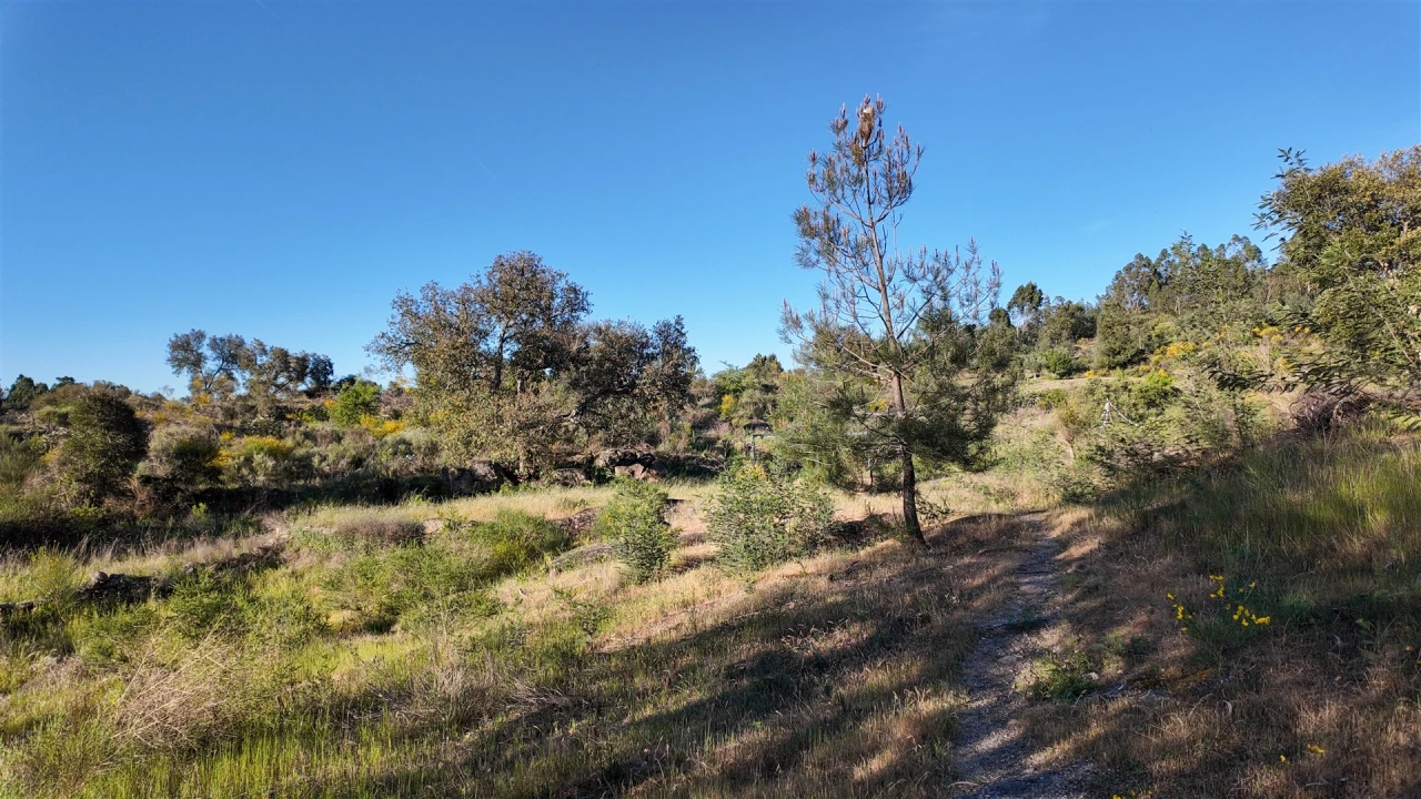 Quinta T1 para Venda em Póvoa de Rio de Moinhos e Cafede Foto 60