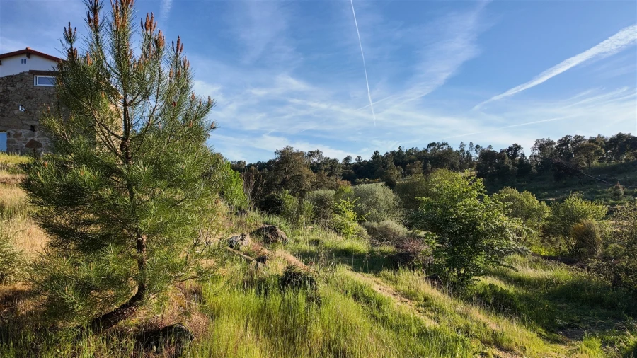 Quinta T1 para Venda em Póvoa de Rio de Moinhos e Cafede Foto 47