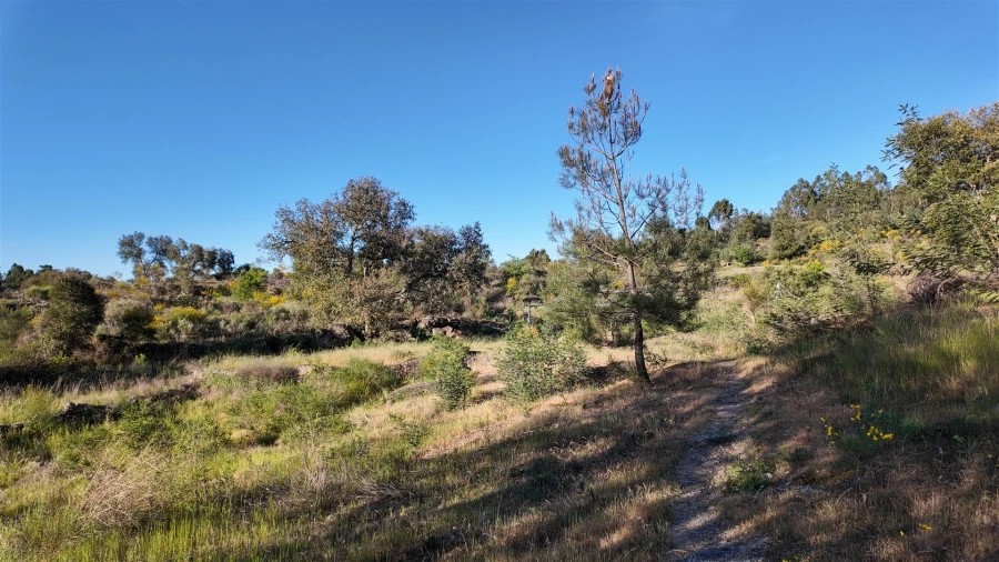 Quinta T1 para Venda em Póvoa de Rio de Moinhos e Cafede Foto 60