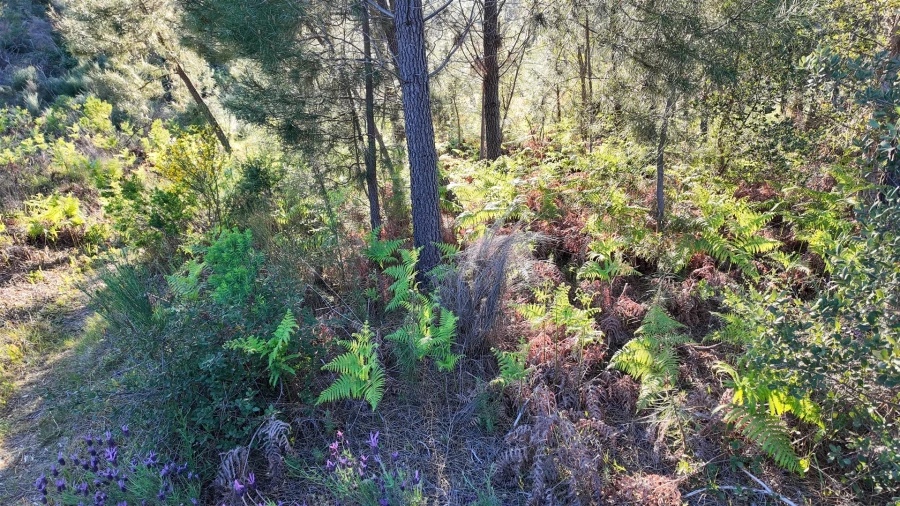 Quinta T1 para Venda em Póvoa de Rio de Moinhos e Cafede Foto 76