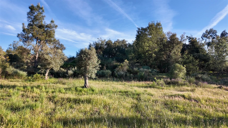 Quinta T1 para Venda em Póvoa de Rio de Moinhos e Cafede Foto 64