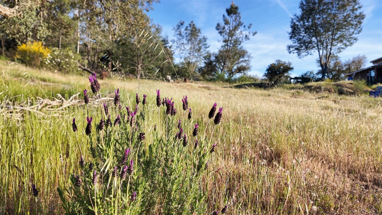 Quinta T1 para Venda em Póvoa de Rio de Moinhos e Cafede Foto 58