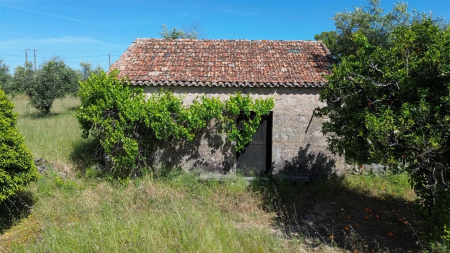 Quinta T1 para Venda em Alcains Foto 17