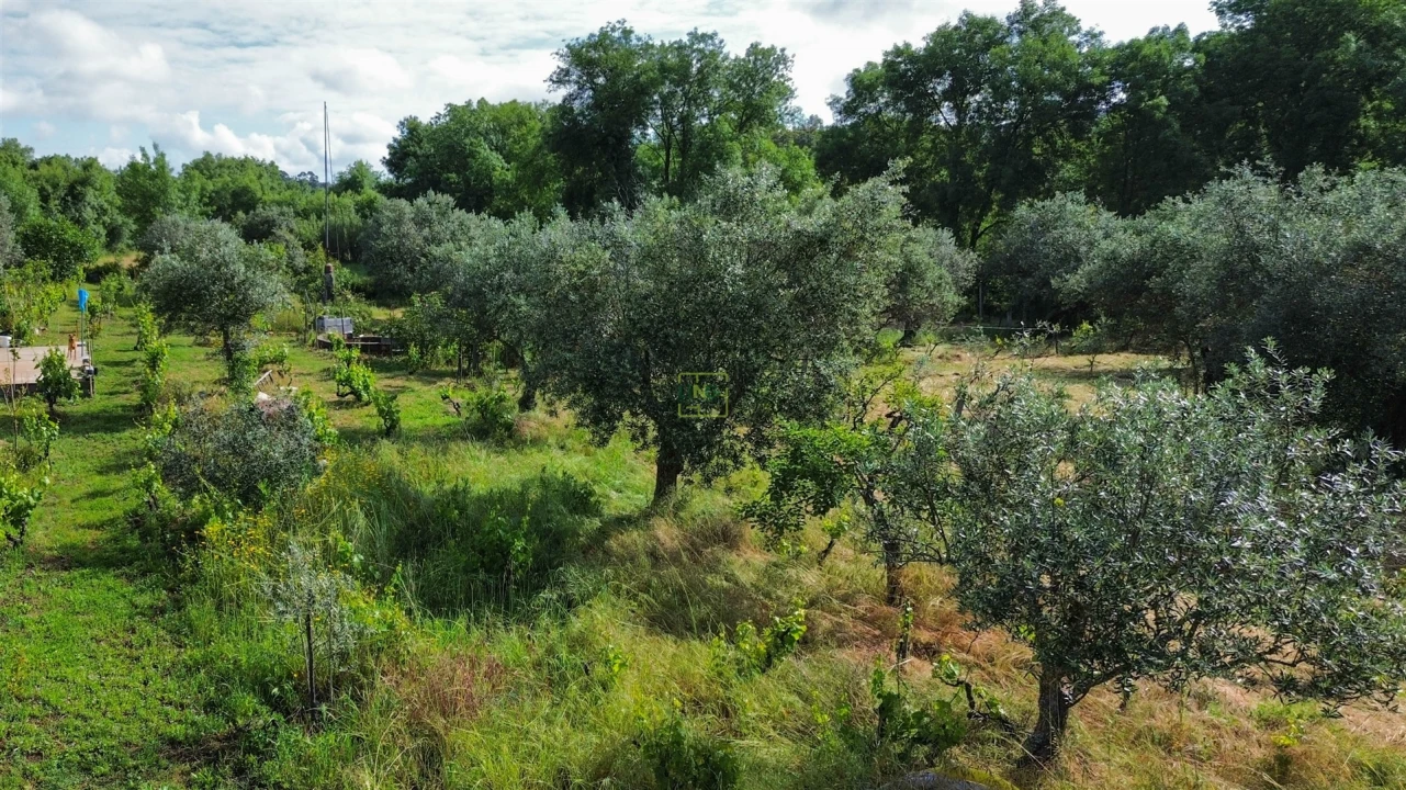 Terreno Agricola ou Rústico para Venda em Aldeia do Bispo, Águas e Aldeia de João Pires Foto 64
