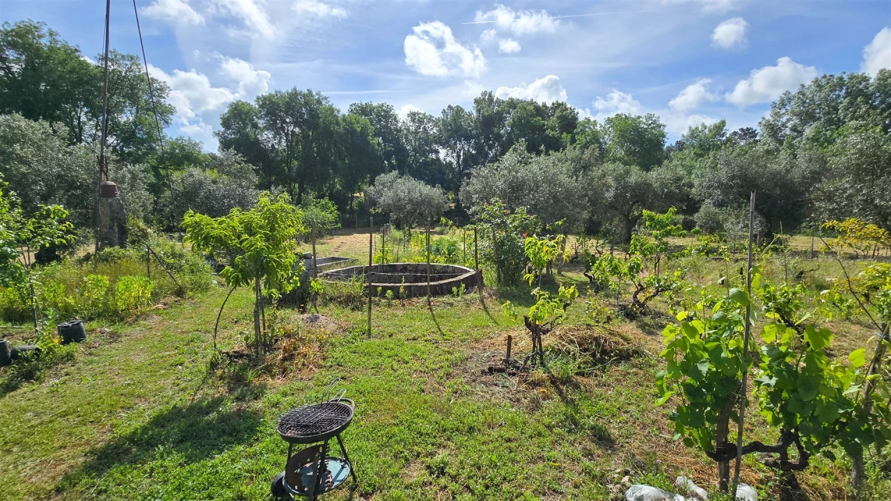 Terreno Agricola ou Rústico para Venda em Aldeia do Bispo, Águas e Aldeia de João Pires Foto 28