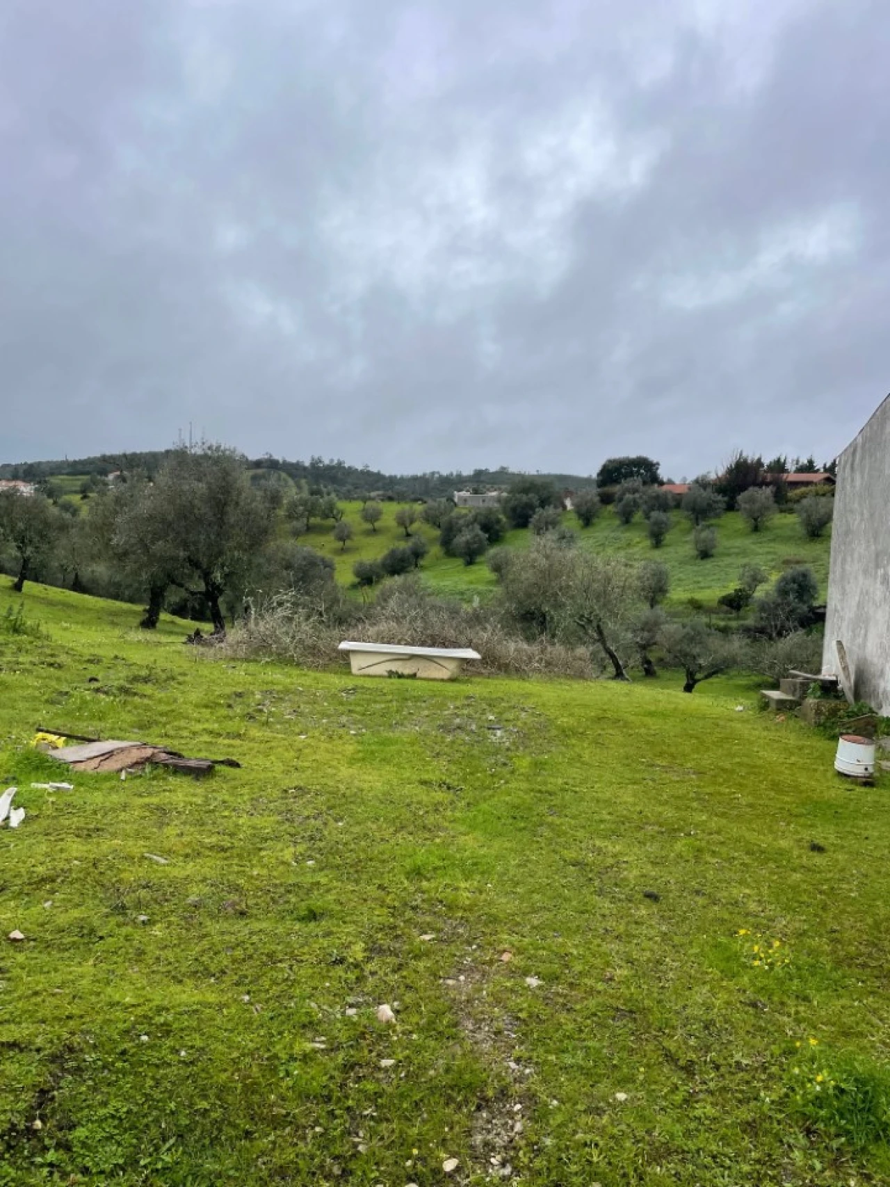 Quinta para Venda em Montargil Foto 4