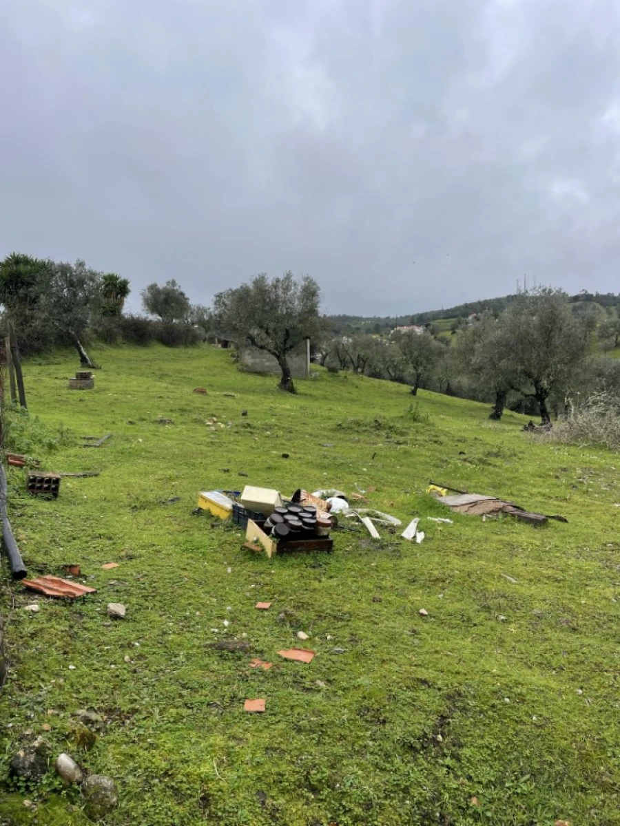 Quinta para Venda em Montargil Foto 5