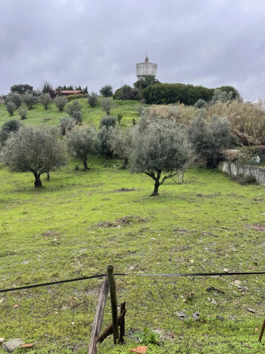 Quinta para Venda em Montargil Foto 7