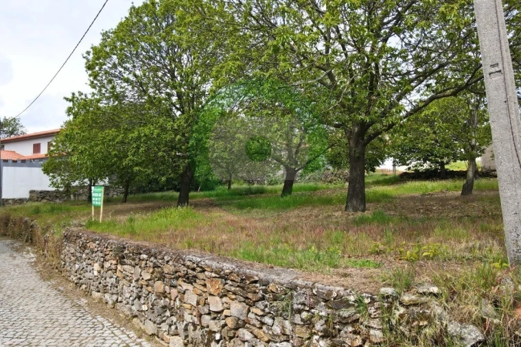 Terreno para Venda em São João da Corveira Foto 2