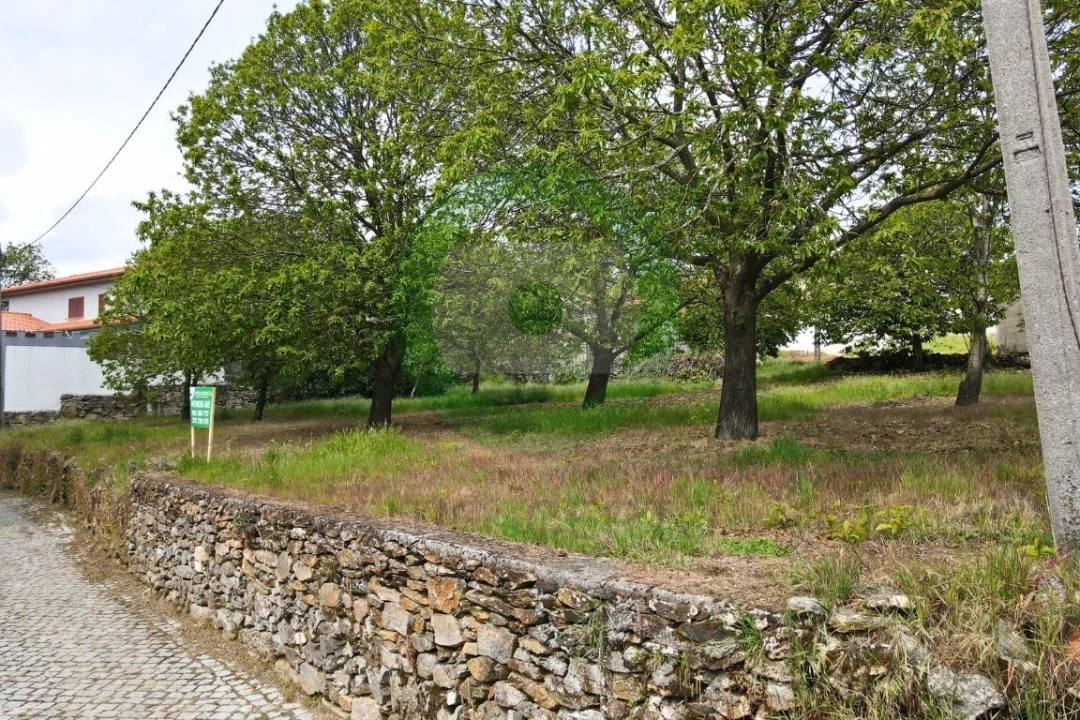 Terreno para Venda em São João da Corveira Foto 2